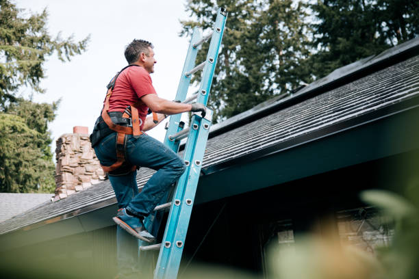 Best Solar Panel Roofing Installation  in Dover, FL