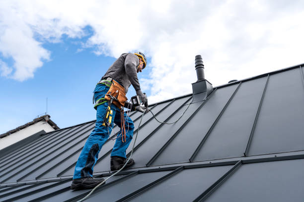 Fast & Reliable Emergency Roof Repairs in Dover, FL